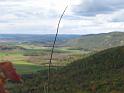 05102008 144513IMG1843
